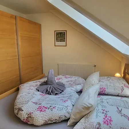 Lägenhet Haus Rehblick 2 Sankt Andreasberg